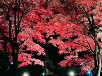 土津神社|こどもと出世の神さまの景色