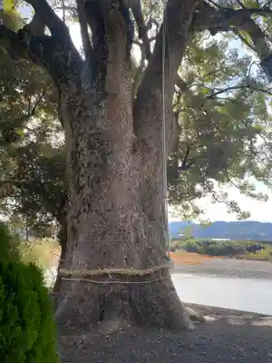田殿丹生神社(和歌山県)