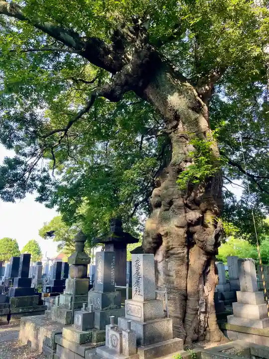 実成寺(福島県)