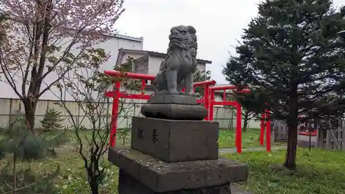 帯広三吉神社の狛犬