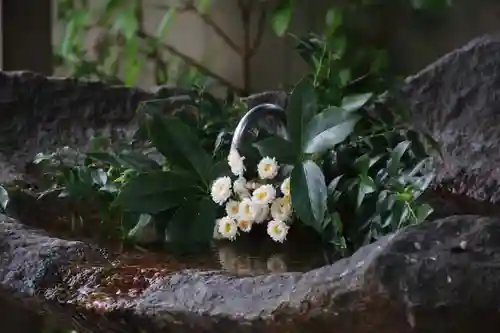 愛宕神社の手水