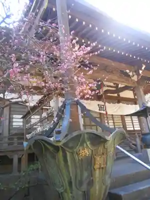 安國論寺（安国論寺）の本殿・本堂