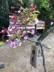 玉津島神社の自然