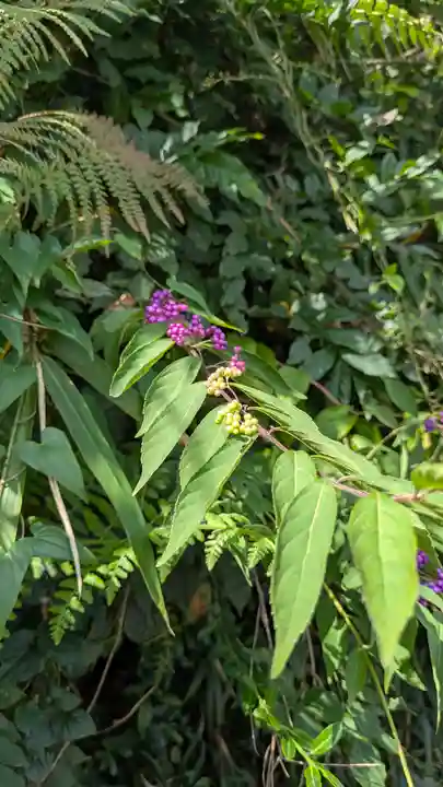 江文神社(京都府)