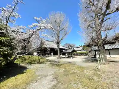 本誓寺(東本誓寺)(滋賀県)