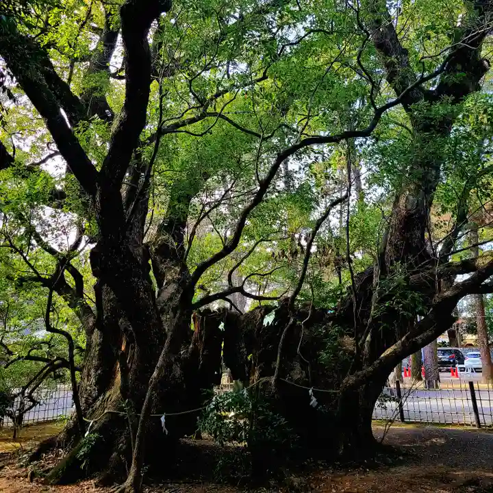 浜松八幡宮(静岡県)