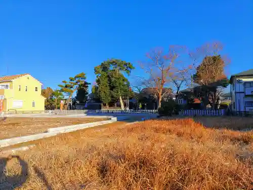 稲荷社（上条）の自然