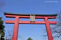 亀戸天神社の鳥居