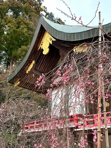 常宮神社の本殿・本堂