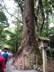 伊勢神宮内宮（皇大神宮）(三重県)