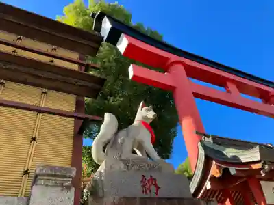 京濱伏見稲荷神社の狛犬