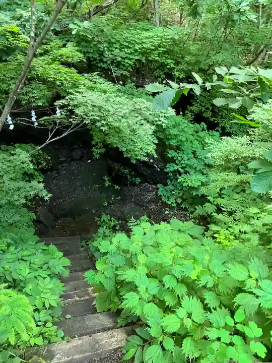 戸隠神社九頭龍社(長野県)