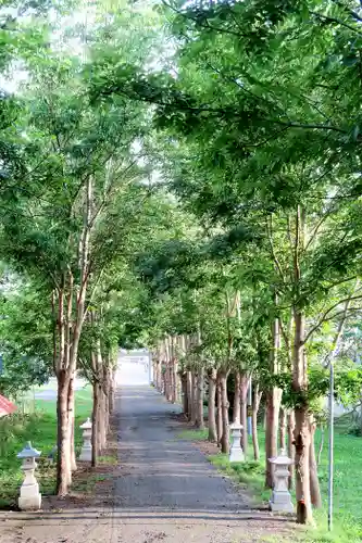 遠別神社の景色