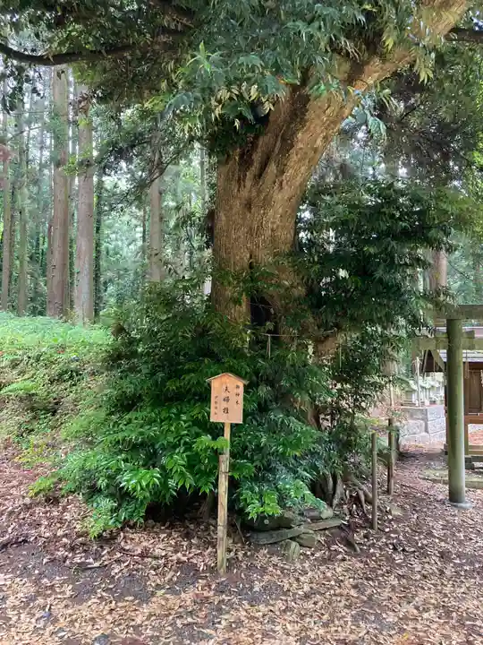 伊勢神社(茨城県)