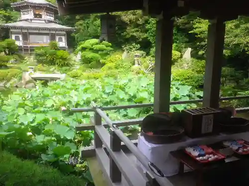 光明寺の庭園