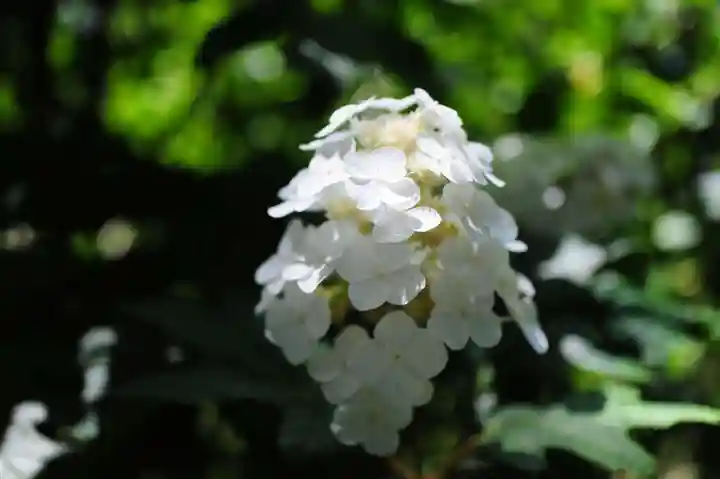 浄土寺(兵庫県)
