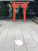 愛宕神社の動物