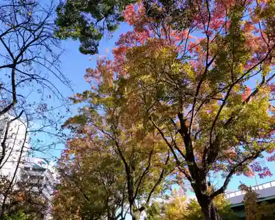 若宮八幡社(愛知県)