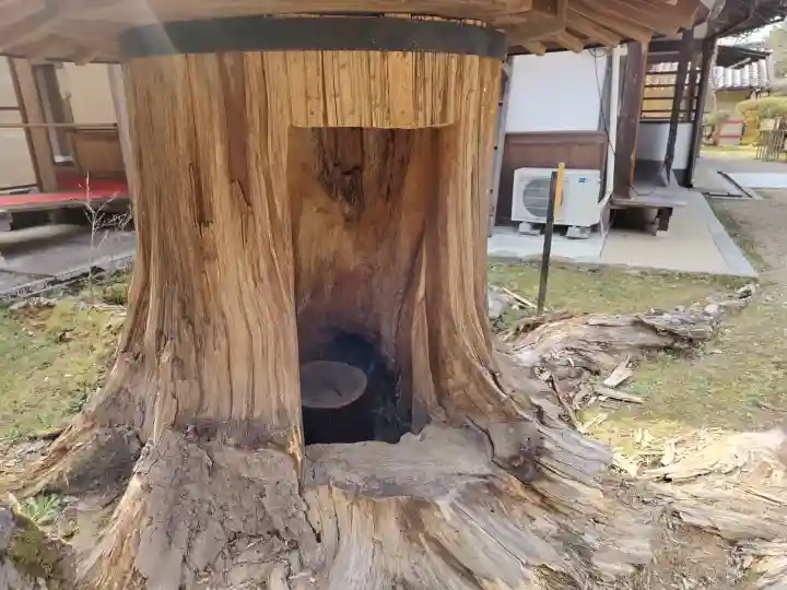 大原野神社の{uncategorized: "未分類", other: "その他", undefined: "問題あり", building: "その他建物", grave: "お墓", sacred_gate: "鳥居", guardian: "狛犬", statue: "像", buddha: "仏像", history: "歴史", nature: "自然", garden: "庭園", animal: "動物", pagoda: "塔", temizu: "手水舎", mountain_gate: "山門・神門", sanctuary: "本殿・本堂", subordinate: "末社・摂社", art: "芸術", scenery: "景色", jizo: "地蔵", ema: "絵馬", goshuin: "御朱印", omikuji: "おみくじ", items: "授与品その他", amulet: "お守り", goshuincho: "御朱印帳", eats: "食事", festival: "お祭り", votive_dance: "神楽", shichigosan: "七五三参", wedding: "結婚式", experience: "体験その他", initially: "初詣", around: "周辺", anti_infection: "感染症対策"}