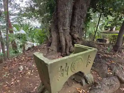 子之神社(神奈川県)