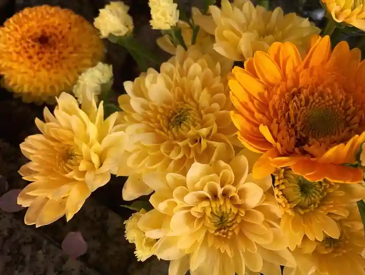 滑川神社 - 仕事と子どもの守り神(福島県)