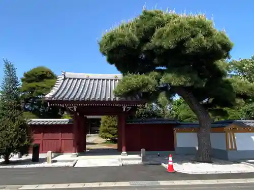 遍照寺の山門