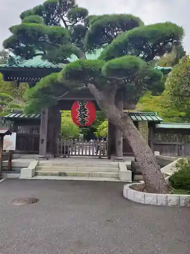 長谷寺の山門