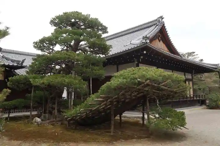 鹿苑寺(金閣寺)(京都府)