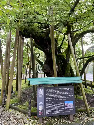 輪王寺(栃木県)