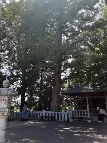 神鳥前川神社(神奈川県)