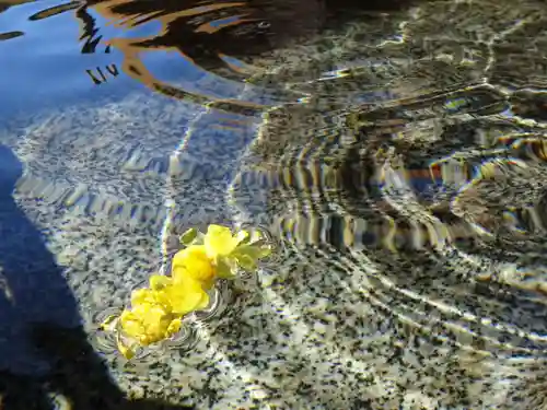 横浜　西方寺の手水舎