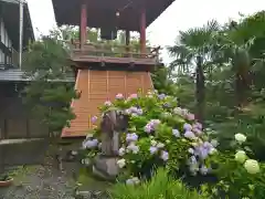 長楽寺の建物その他