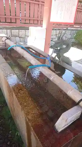 津島神社の手水舎