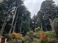 大宮温泉神社(栃木県)