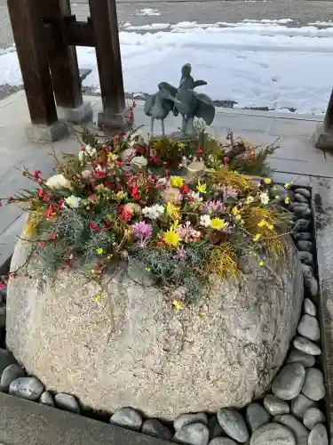 白鷺神社の{uncategorized: "未分類", other: "その他", undefined: "問題あり", building: "その他建物", grave: "お墓", sacred_gate: "鳥居", guardian: "狛犬", statue: "像", buddha: "仏像", history: "歴史", nature: "自然", garden: "庭園", animal: "動物", pagoda: "塔", temizu: "手水舎", mountain_gate: "山門・神門", sanctuary: "本殿・本堂", subordinate: "末社・摂社", art: "芸術", scenery: "景色", jizo: "地蔵", ema: "絵馬", goshuin: "御朱印", omikuji: "おみくじ", items: "授与品その他", amulet: "お守り", goshuincho: "御朱印帳", eats: "食事", festival: "お祭り", votive_dance: "神楽", shichigosan: "七五三参", wedding: "結婚式", experience: "体験その他", initially: "初詣", around: "周辺", anti_infection: "感染症対策"}