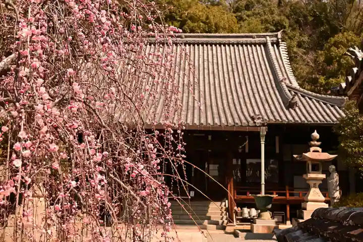 西方寺(広島県)