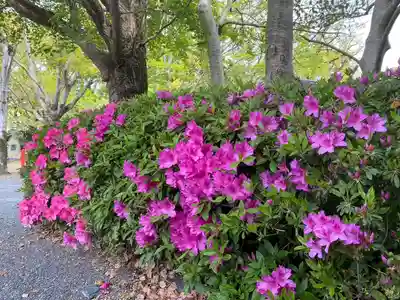 美奈宜神社(福岡県)