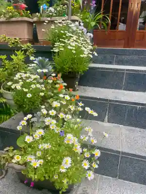 當光寺(東京都)