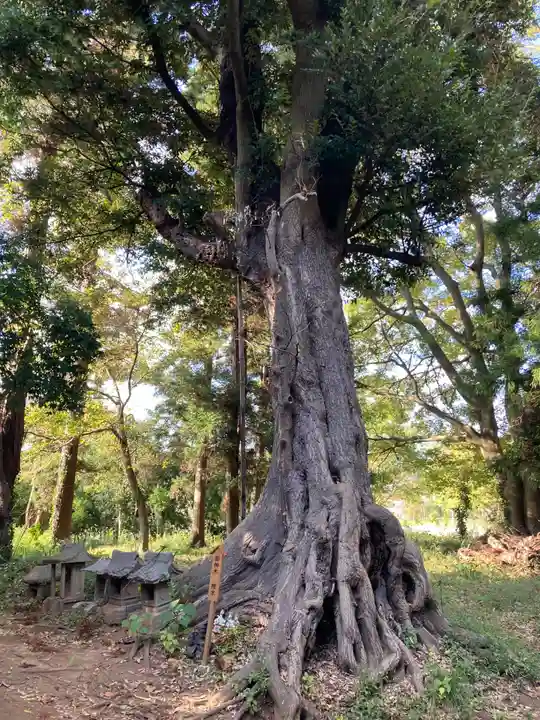 星宮神社の自然