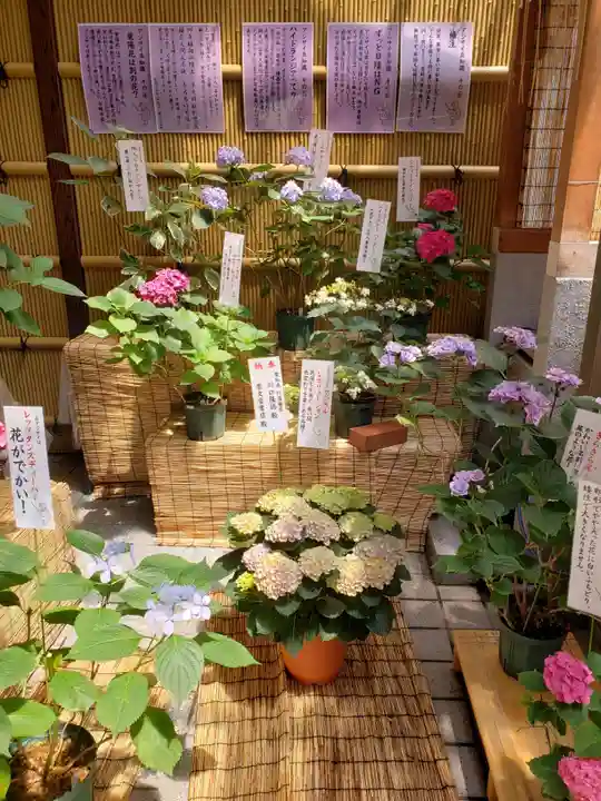十番稲荷神社(東京都)