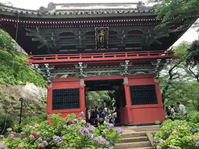 楽法寺(雨引観音)の山門・神門