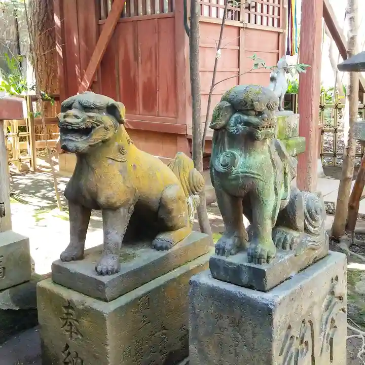 渋谷氷川神社の狛犬