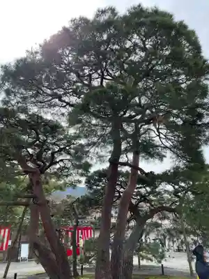 三宝院（三宝院門跡）(京都府)