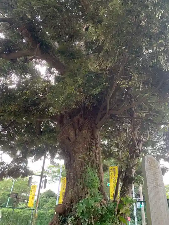 要行寺(千葉県)