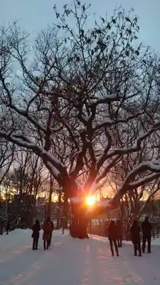 相馬神社(北海道)