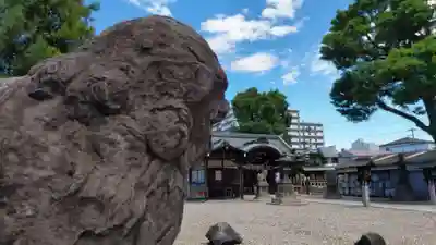 姫嶋神社の狛犬