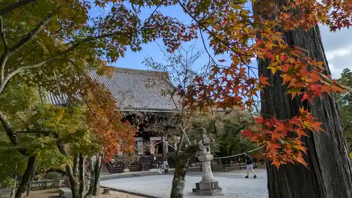 真正極楽寺(真如堂)(京都府)