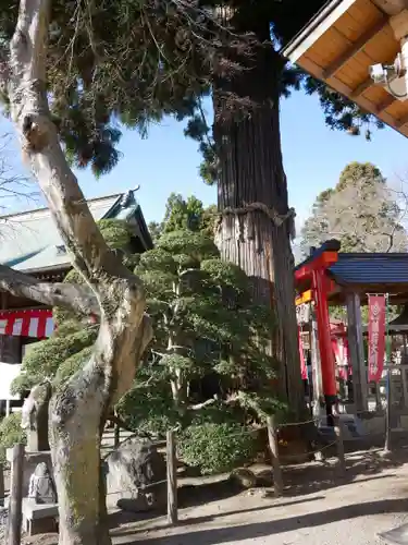 愛宕神社の建物その他