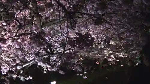 かっぱの寺 栖足寺の自然