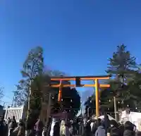 川越氷川神社(埼玉県)